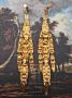 1842829-6ad903ce1455e.jpg