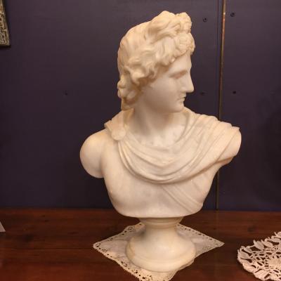 Buste d'Apollon  du Belvedere en marbre  de Carrara 19 éme 