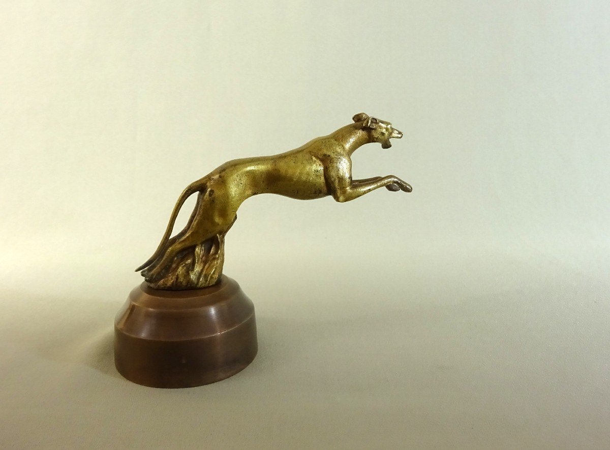 Automobile Or Car Mascot  Bronze Greyhound Dog Radiator Cap By Charles, Early 20th Century-photo-1
