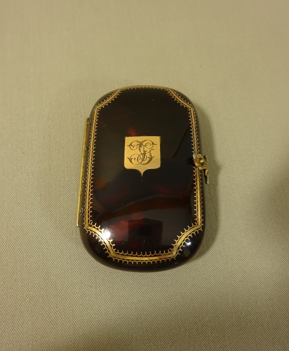 19th Century Tortoiseshell, Silver, Gold-inlaid Case With Interior Fabric Pockets-photo-2