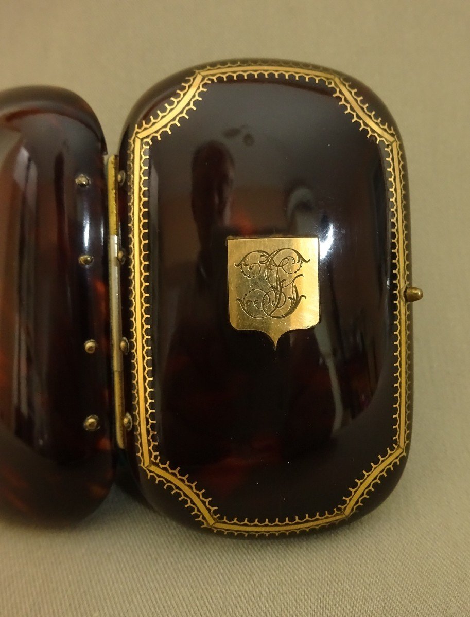 19th Century Tortoiseshell, Silver, Gold-inlaid Case With Interior Fabric Pockets-photo-5