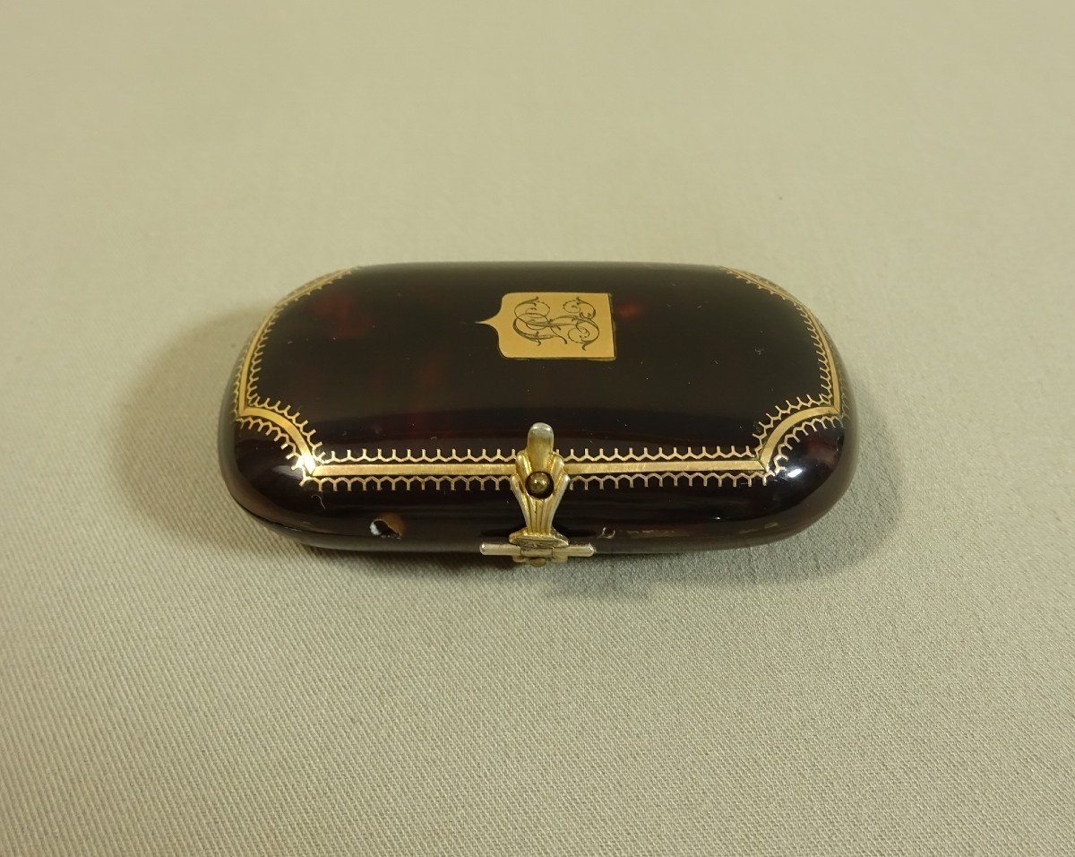 19th Century Tortoiseshell, Silver, Gold-inlaid Case With Interior Fabric Pockets