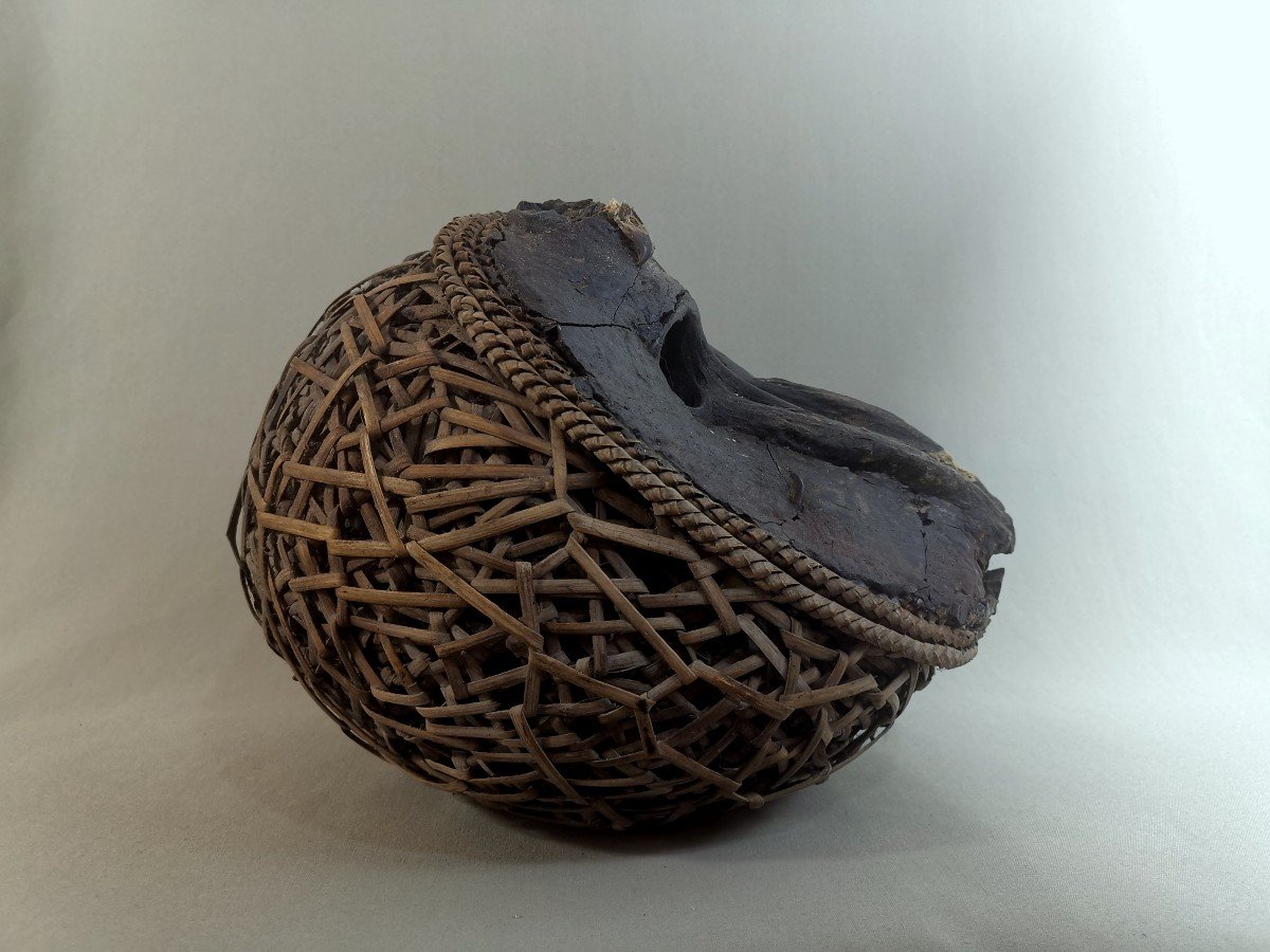 Nkisi M'bumba Fetish, Vili, Democratic Republic Of Congo, Baboon Monkey Skull, African Art-photo-3