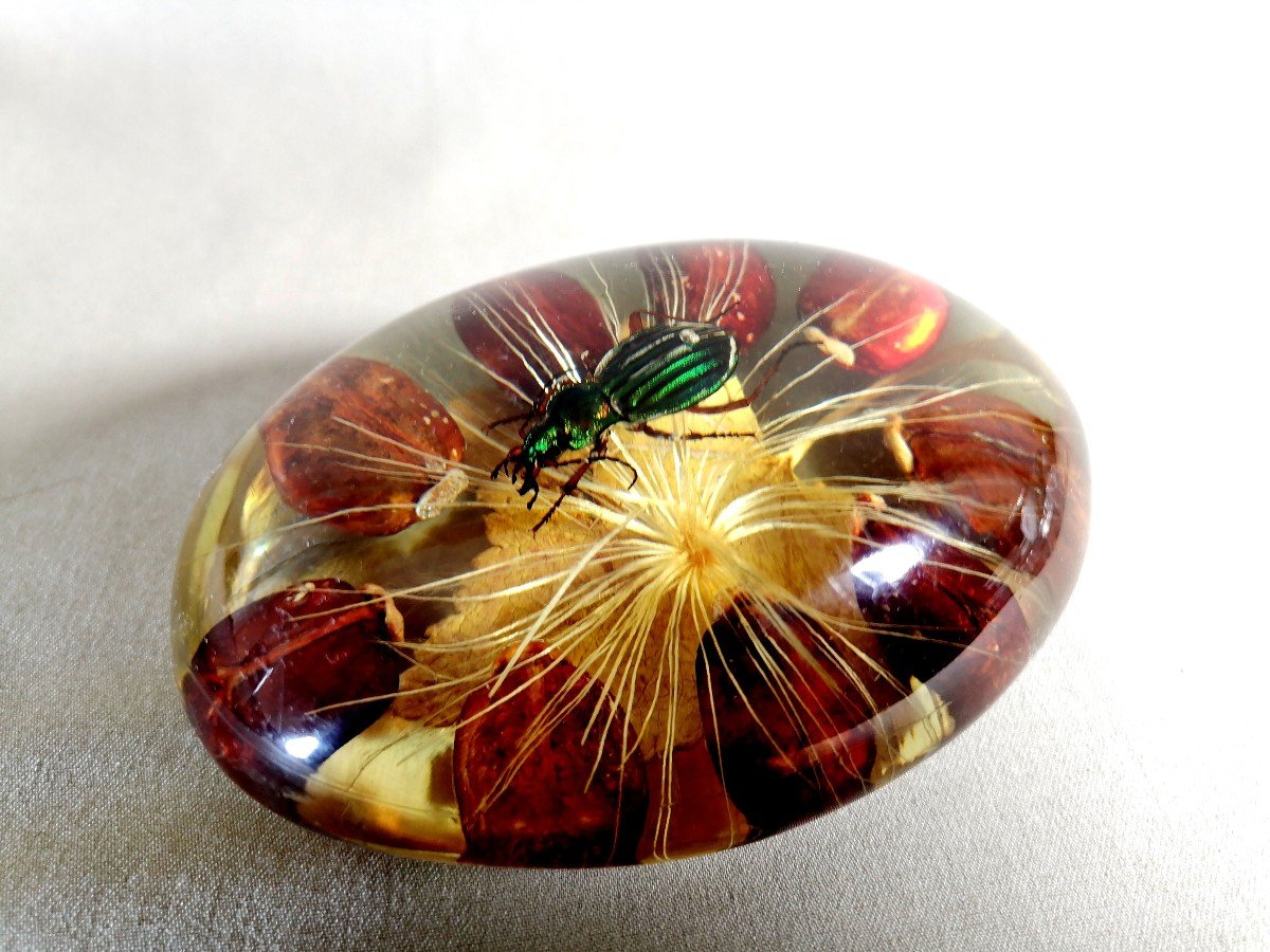 Pierre Giraudon Bioplastique Paris, Scarab Inclusion On A Bed Of Leaves, Seeds And Plant Fibres-photo-1