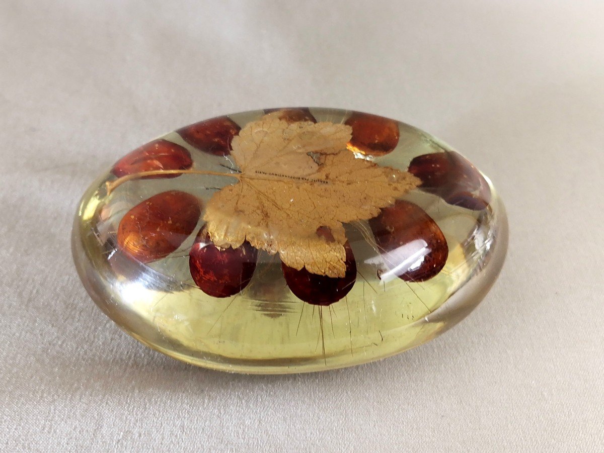 Pierre Giraudon Bioplastique Paris, Scarab Inclusion On A Bed Of Leaves, Seeds And Plant Fibres-photo-6
