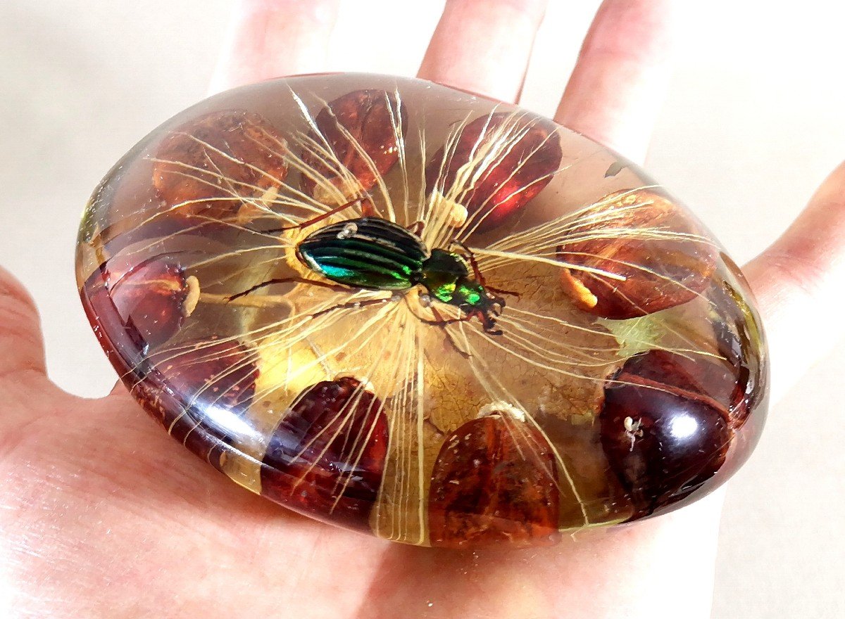 Pierre Giraudon Bioplastique Paris, Scarab Inclusion On A Bed Of Leaves, Seeds And Plant Fibres-photo-7
