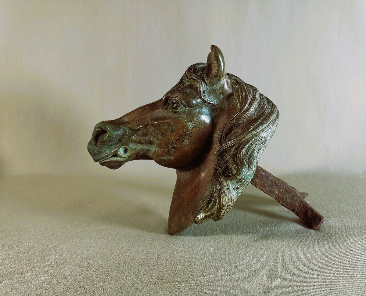Tete de Cheval en Bronze du XIXe, Enseigne de Marechal Ferrant  ou de Boucherie Chevaline-photo-5