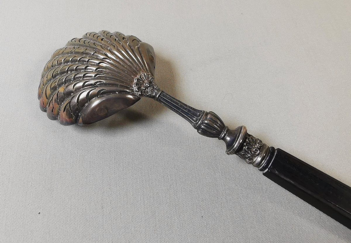 Silver And Ebony Sprinkling Spoon, Old Man's Hallmark, 1819-1838, Gadroons & Shells-photo-4