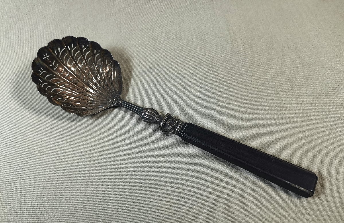 Silver And Ebony Sprinkling Spoon, Old Man's Hallmark, 1819-1838, Gadroons & Shells-photo-2