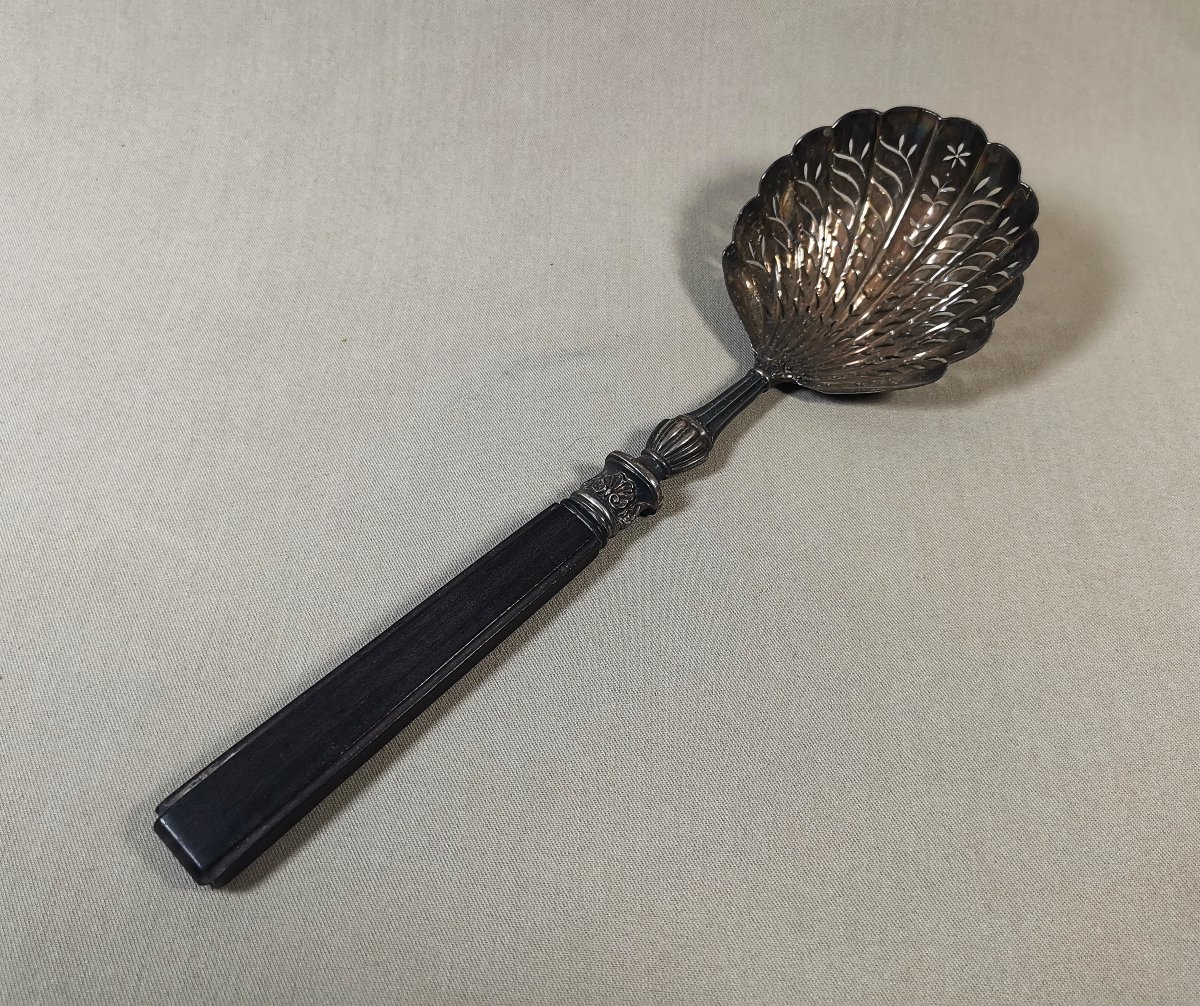 Silver And Ebony Sprinkling Spoon, Old Man's Hallmark, 1819-1838, Gadroons & Shells-photo-3