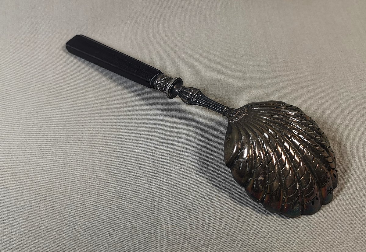Silver And Ebony Sprinkling Spoon, Old Man's Hallmark, 1819-1838, Gadroons & Shells-photo-4