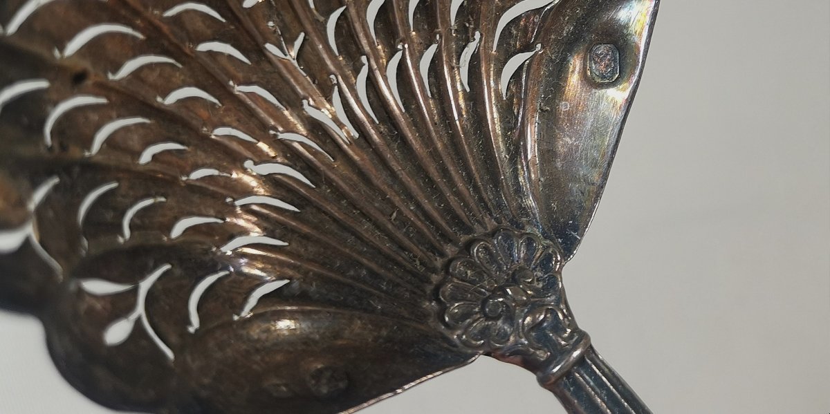 Silver And Ebony Sprinkling Spoon, Old Man's Hallmark, 1819-1838, Gadroons & Shells-photo-7