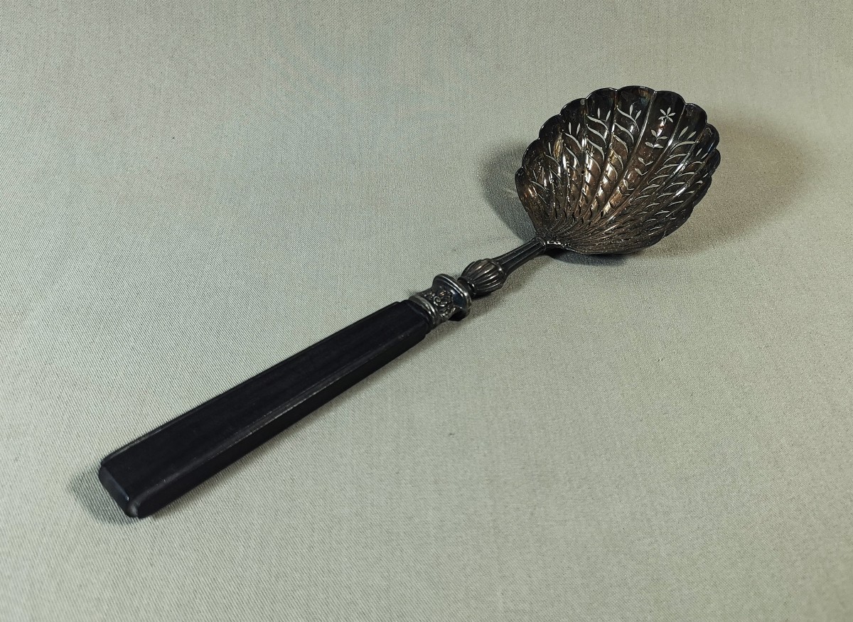 Silver And Ebony Sprinkling Spoon, Old Man's Hallmark, 1819-1838, Gadroons & Shells