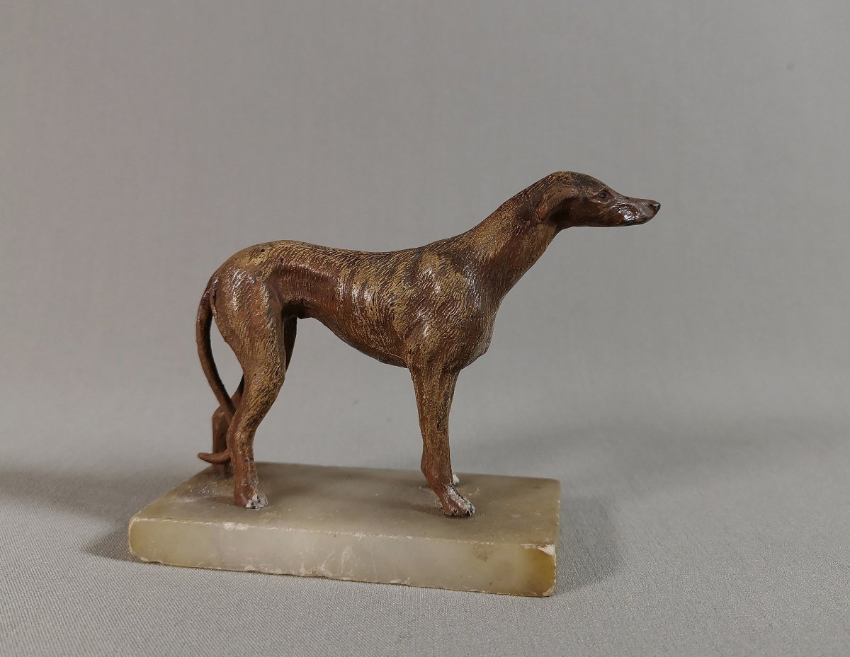 19th Century Nuremberg Polychrome Lead, Greyhound Or Whippet Dog On Onyx Base-photo-2