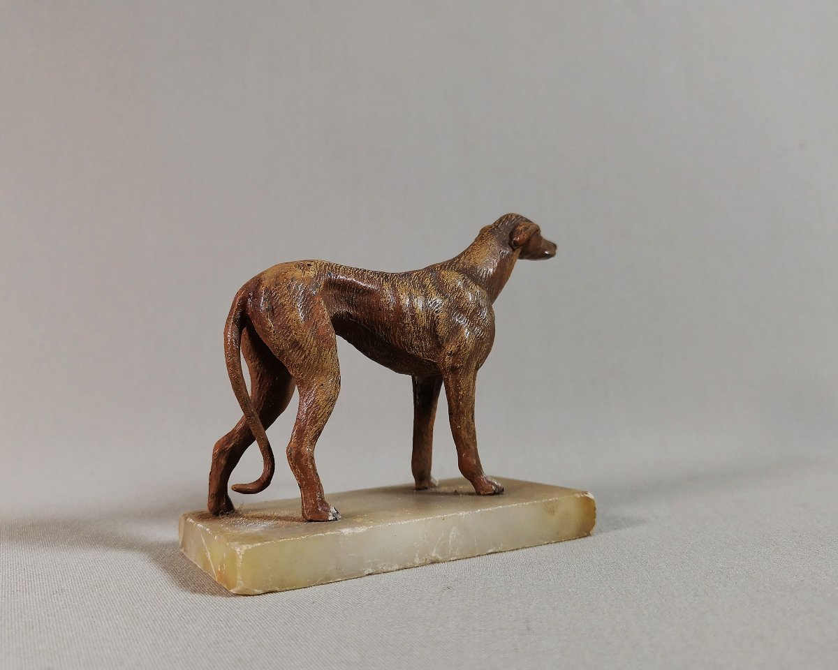 19th Century Nuremberg Polychrome Lead, Greyhound Or Whippet Dog On Onyx Base-photo-4