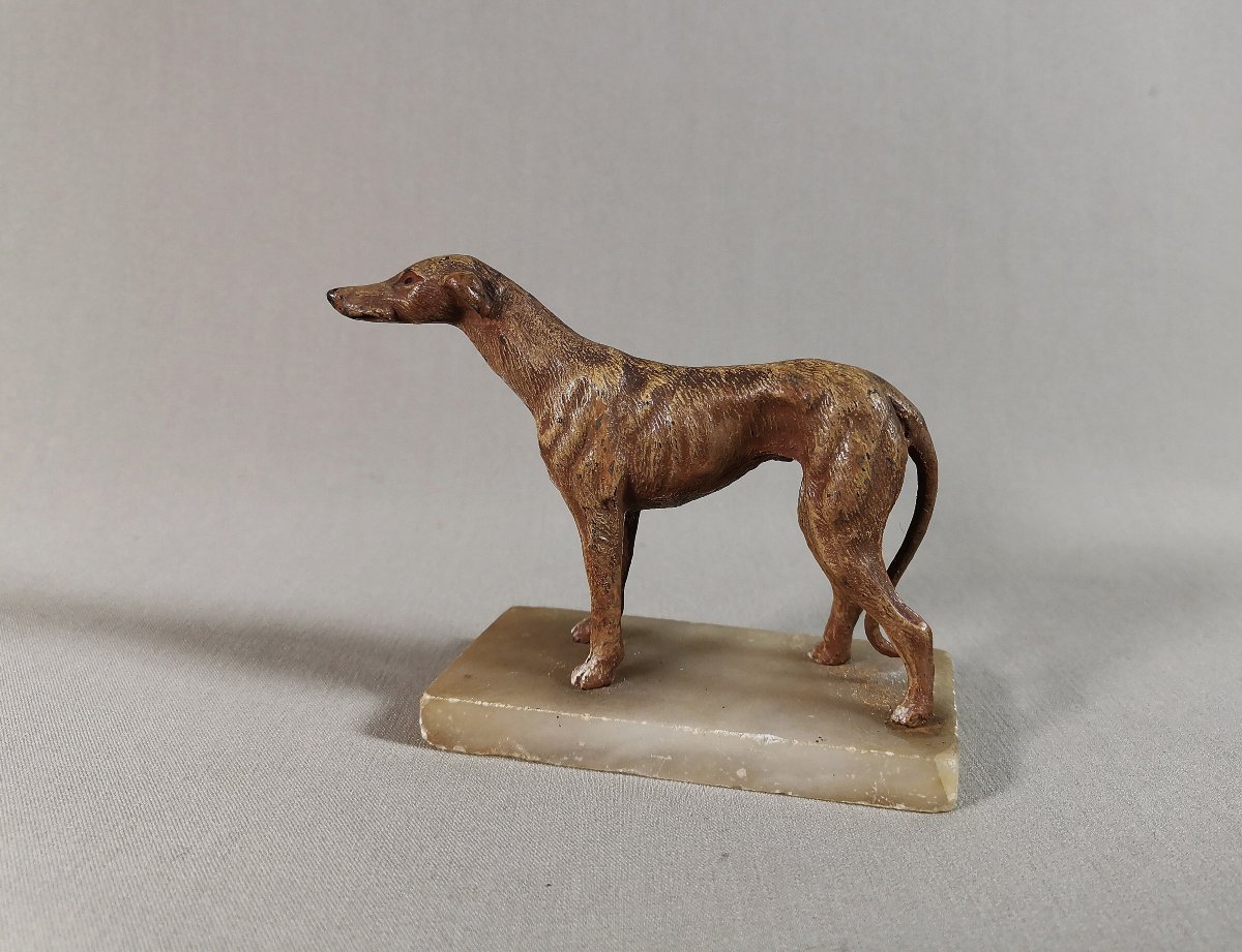 19th Century Nuremberg Polychrome Lead, Greyhound Or Whippet Dog On Onyx Base-photo-6