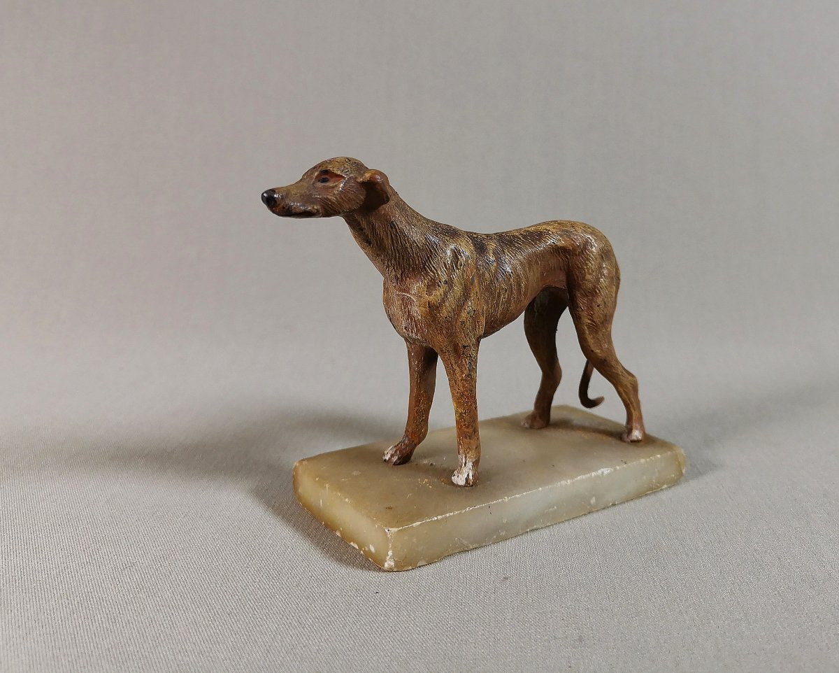 19th Century Nuremberg Polychrome Lead, Greyhound Or Whippet Dog On Onyx Base-photo-7