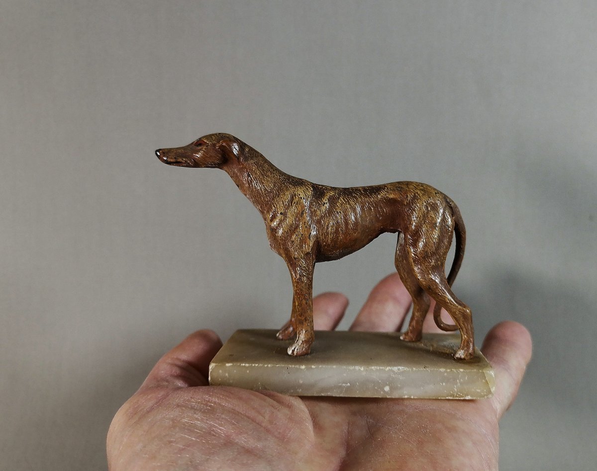 19th Century Nuremberg Polychrome Lead, Greyhound Or Whippet Dog On Onyx Base-photo-8