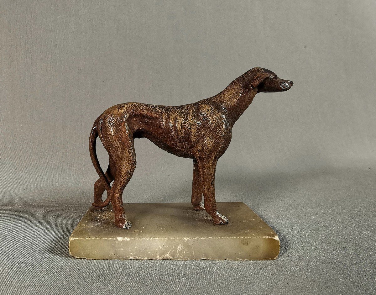 19th Century Nuremberg Polychrome Lead, Greyhound Or Whippet Dog On Onyx Base