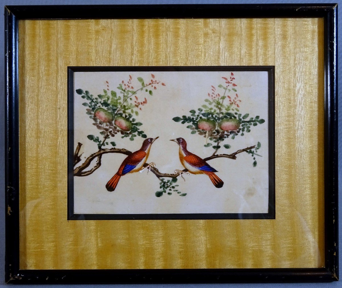 Chine Canton XIXeme Siècle, Gouache sur Papier de Riz, Couple d'Oiseaux sur un Pêcher, symbole d'Amour & Longévité-photo-2