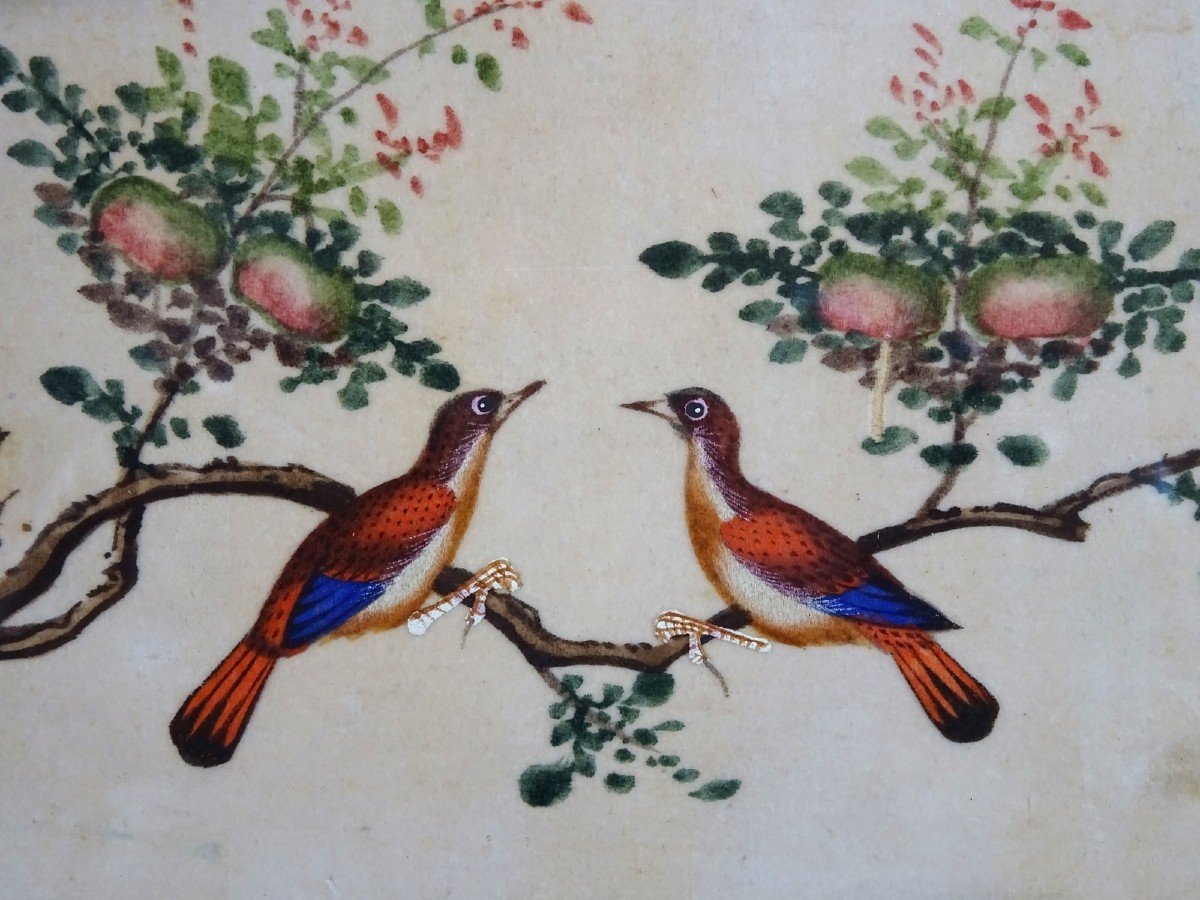 Chine Canton XIXeme Siècle, Gouache sur Papier de Riz, Couple d'Oiseaux sur un Pêcher, symbole d'Amour & Longévité-photo-4