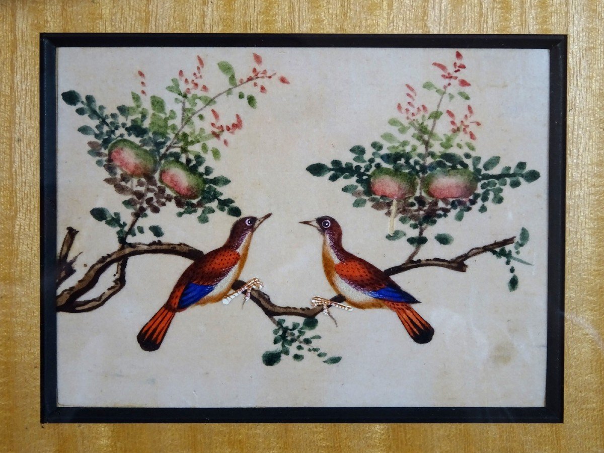 China Canton XIXth Century, Gouache On Rice Paper Representing Couple Of Birds On A Peach Tree, Symbol Of Love And Longevity-photo-2