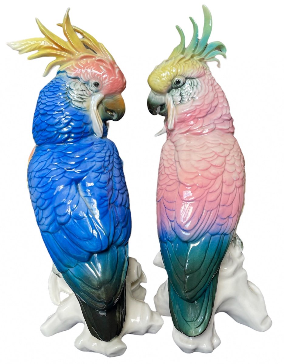 Paire De Perroquets En Porcelaine Karl Ens-photo-3