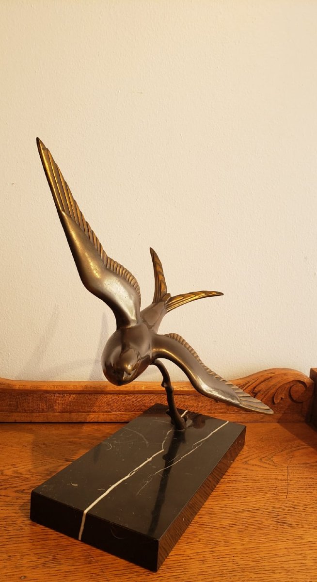 Bronze Sea Swallow, Irenée Rochard-photo-6