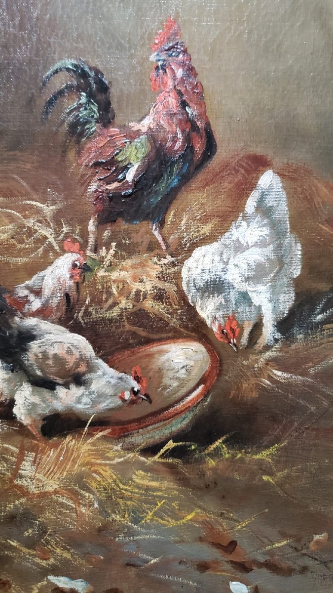 Rooster And Hens. Oil Painting Signed Henry Schouten ( 1864/1927)-photo-2