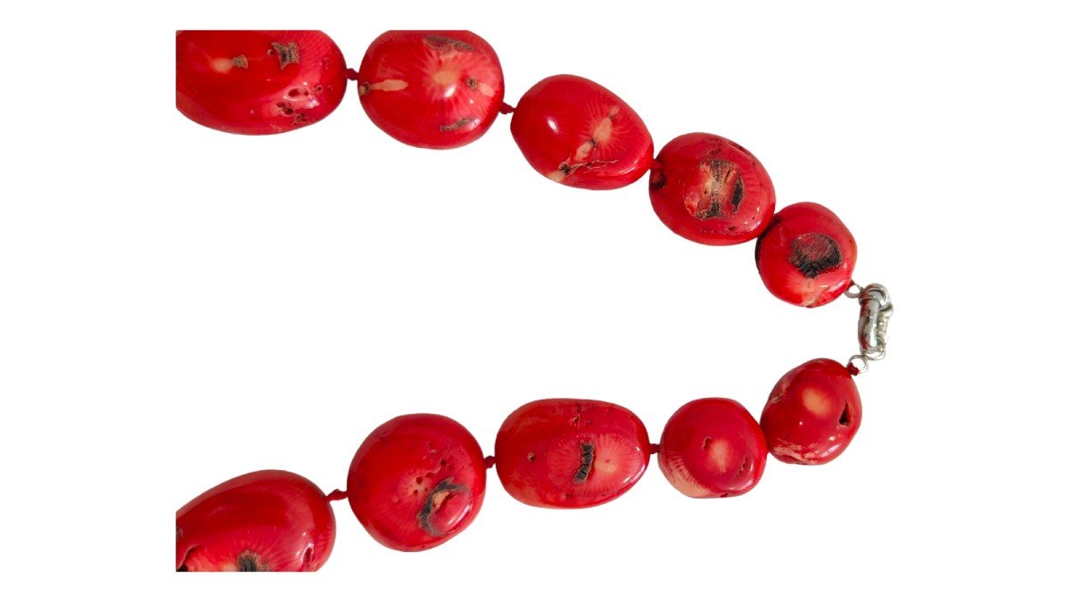 énorme Collier De Corail Rouge-photo-4