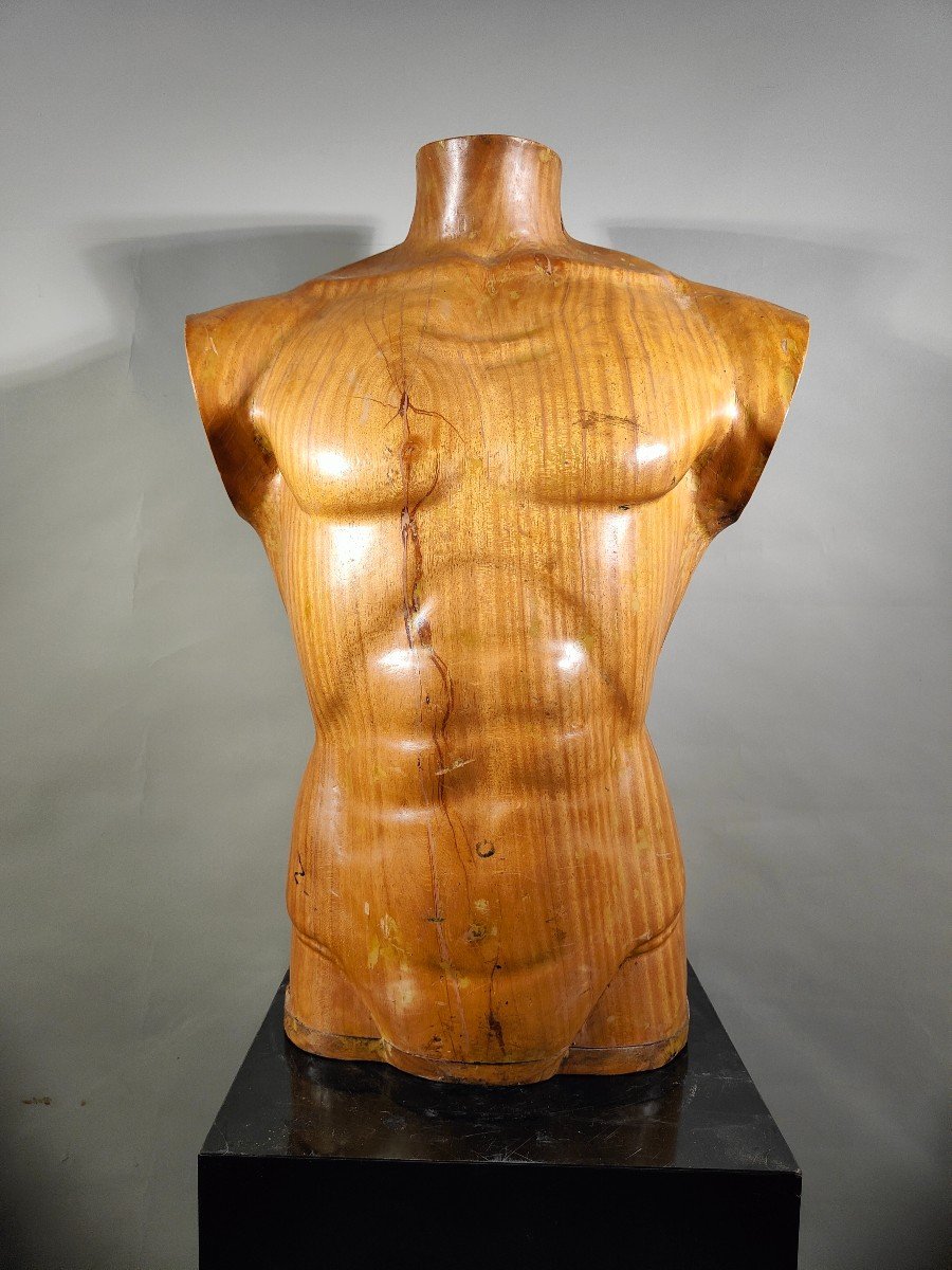  Titre :  "élégant Torse d'Homme En Bois Des Années 50 : Artisanat Sculpté En Bois Massif-photo-2
