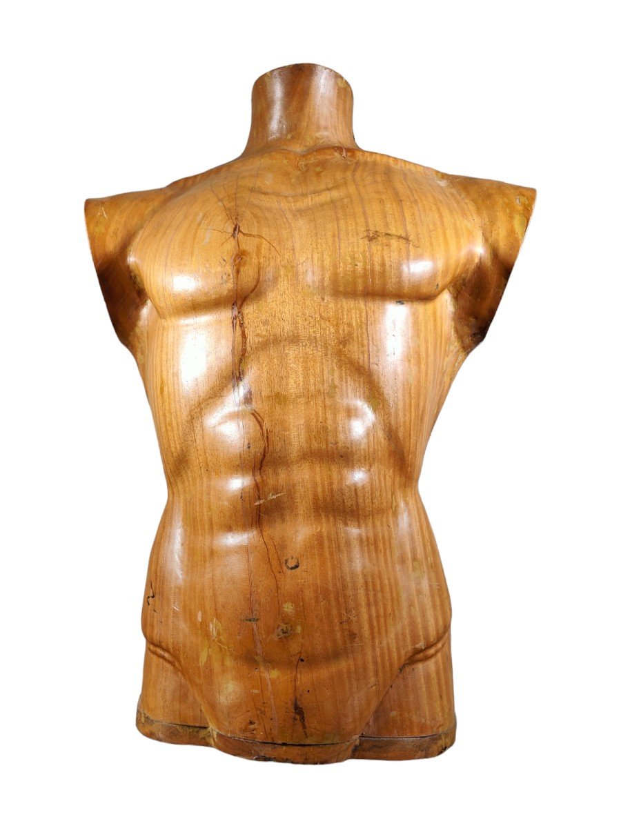  Titre :  "élégant Torse d'Homme En Bois Des Années 50 : Artisanat Sculpté En Bois Massif-photo-3