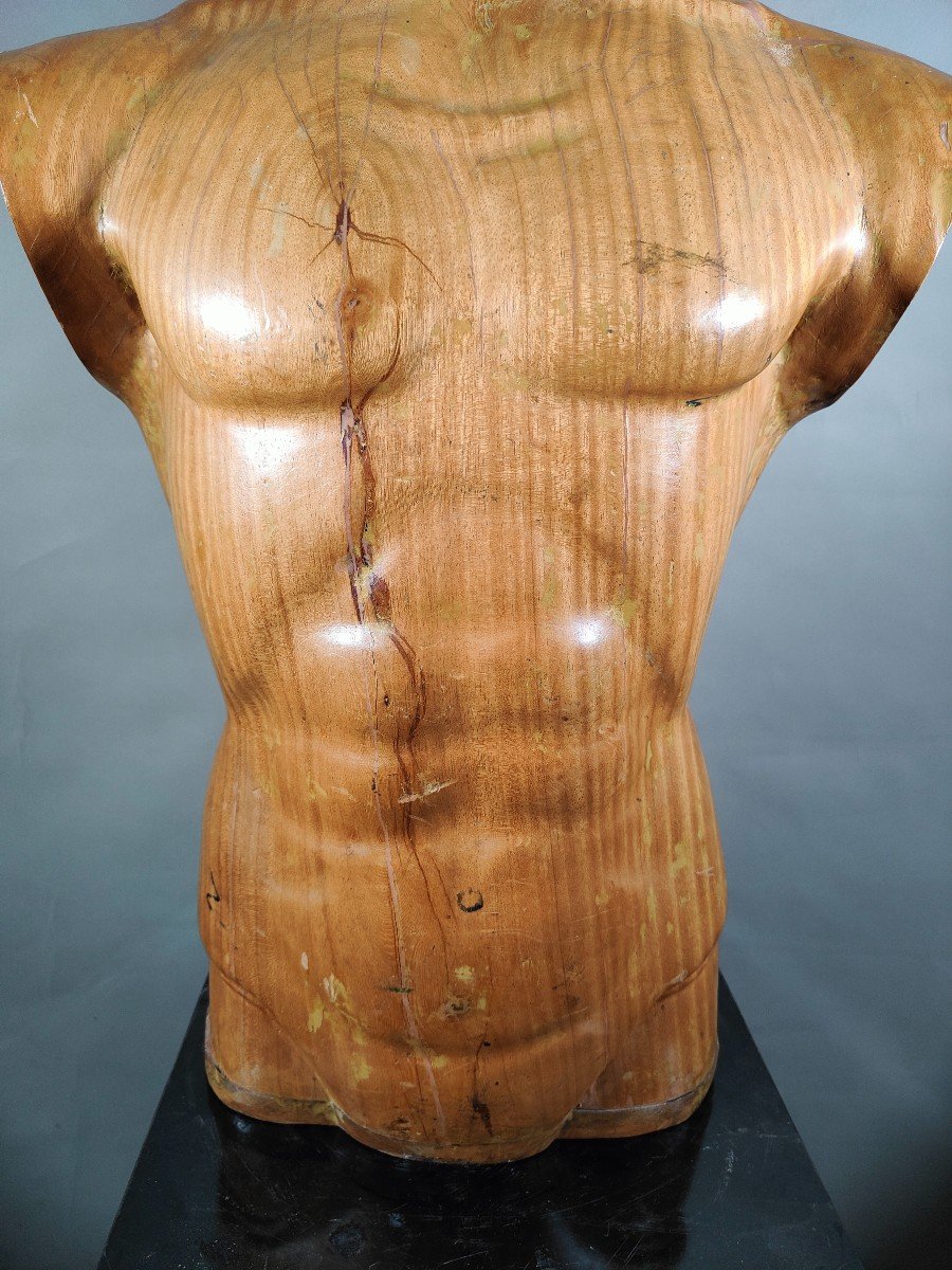  Titre :  "élégant Torse d'Homme En Bois Des Années 50 : Artisanat Sculpté En Bois Massif-photo-1