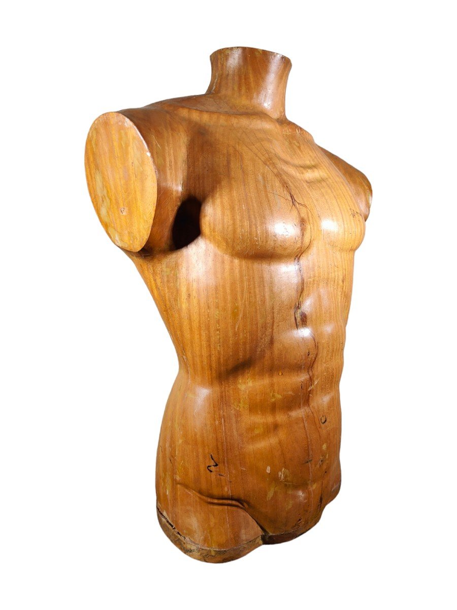  Titre :  "élégant Torse d'Homme En Bois Des Années 50 : Artisanat Sculpté En Bois Massif-photo-2