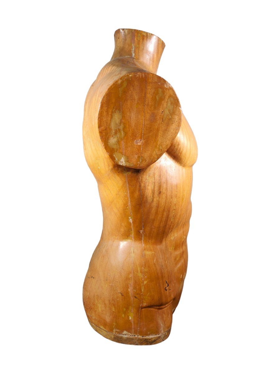  Titre :  "élégant Torse d'Homme En Bois Des Années 50 : Artisanat Sculpté En Bois Massif-photo-3
