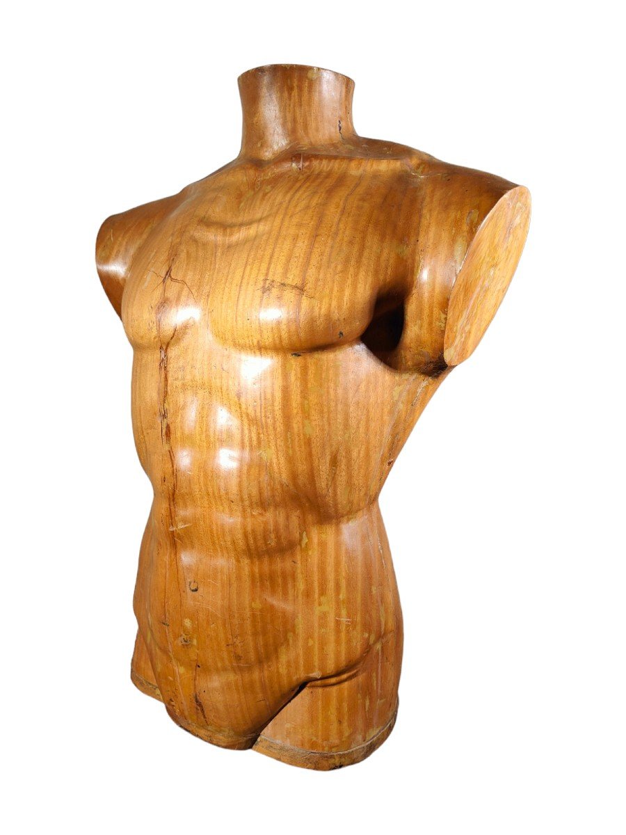  Titre :  "élégant Torse d'Homme En Bois Des Années 50 : Artisanat Sculpté En Bois Massif-photo-6