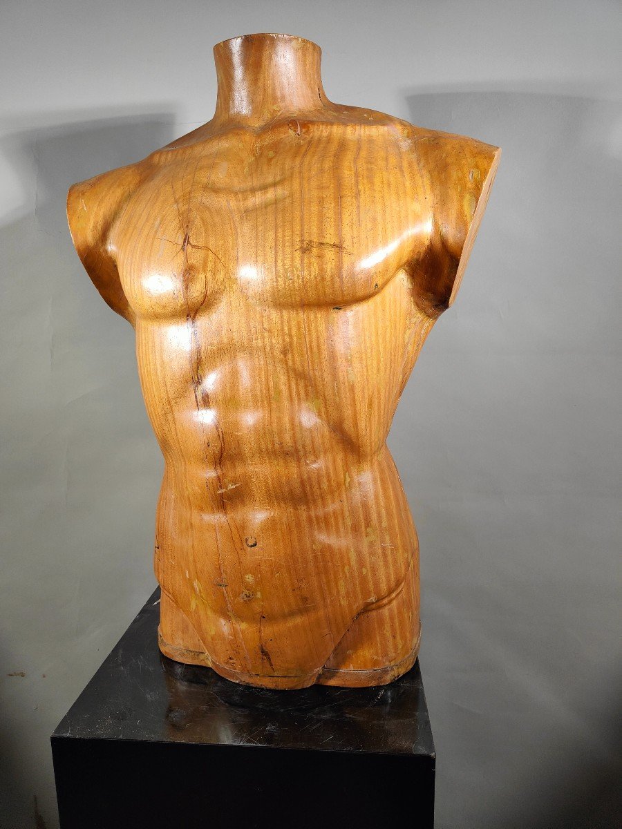  Titre :  "élégant Torse d'Homme En Bois Des Années 50 : Artisanat Sculpté En Bois Massif-photo-7