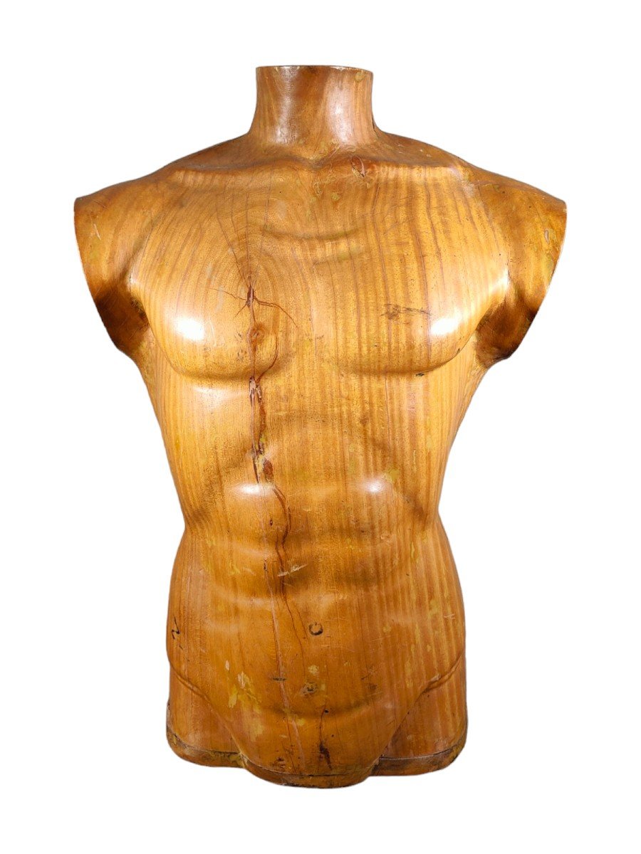  Titre :  "élégant Torse d'Homme En Bois Des Années 50 : Artisanat Sculpté En Bois Massif