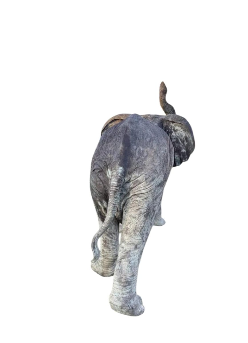 Sculpture d'éléphant en bronze grandeur nature, fonderie italienne, XXe siècle-photo-4