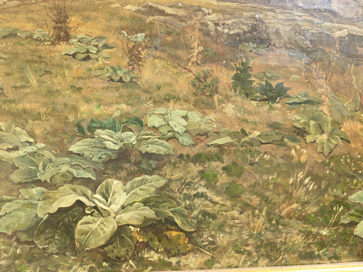 Landscape In Oil On Canvas, 19th Century-photo-6