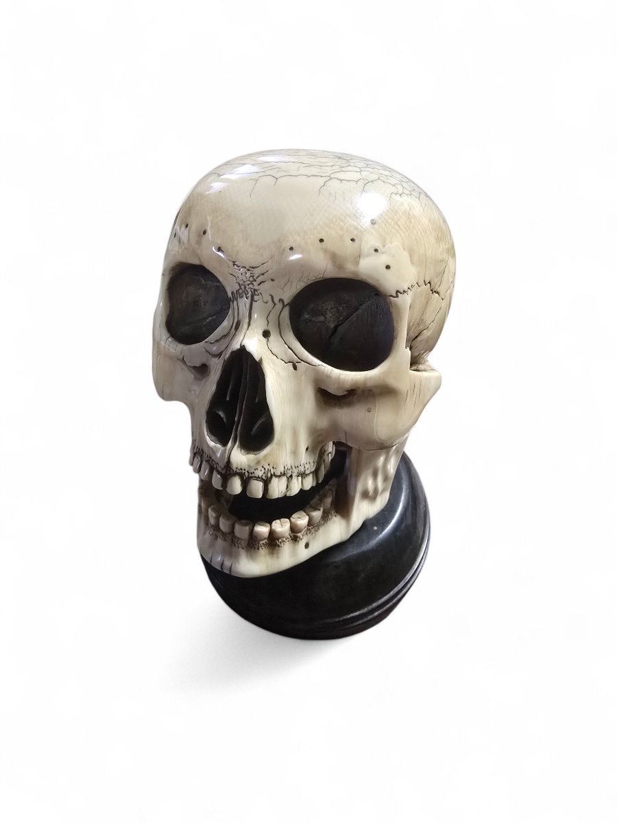 Late 19th-century Sculpted Skull With Wooden Base-photo-2