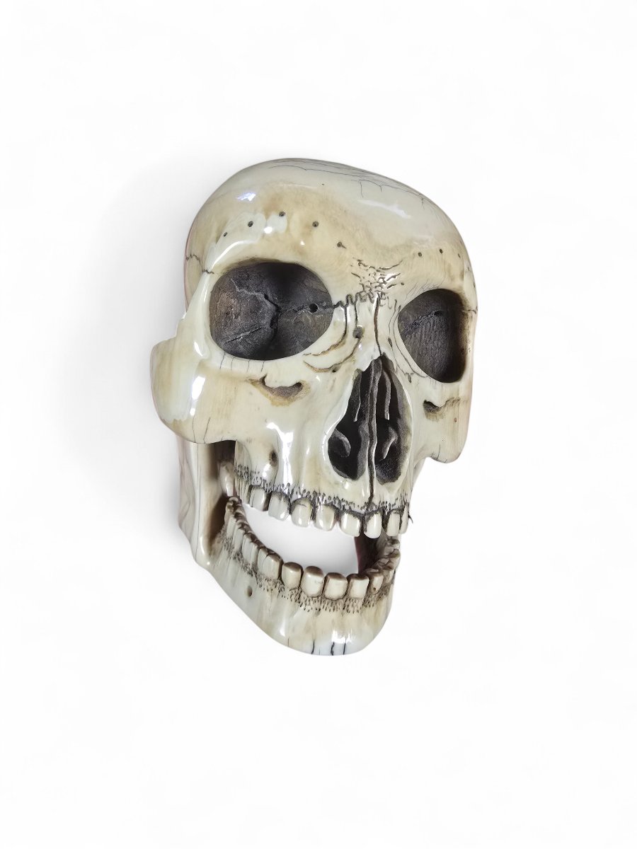 Late 19th-century Sculpted Skull With Wooden Base-photo-4