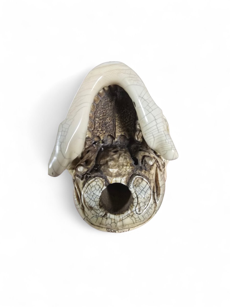 Late 19th-century Sculpted Skull With Wooden Base-photo-6