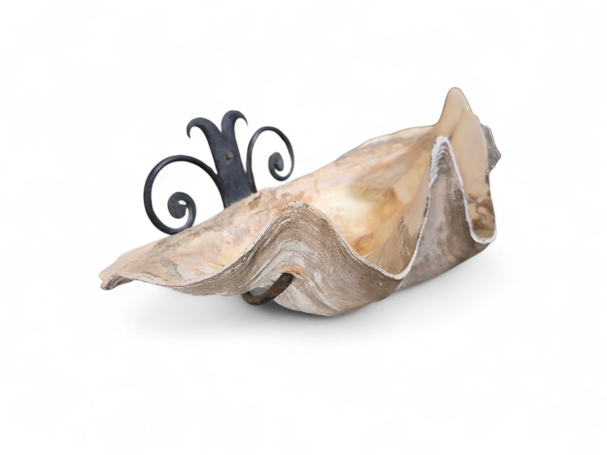 Grande sculpture murale en coquillage naturel avec support en fer-photo-4