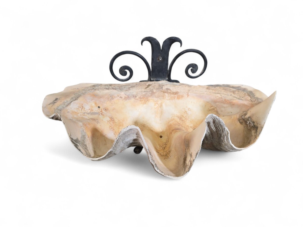Grande sculpture murale en coquillage naturel avec support en fer-photo-6