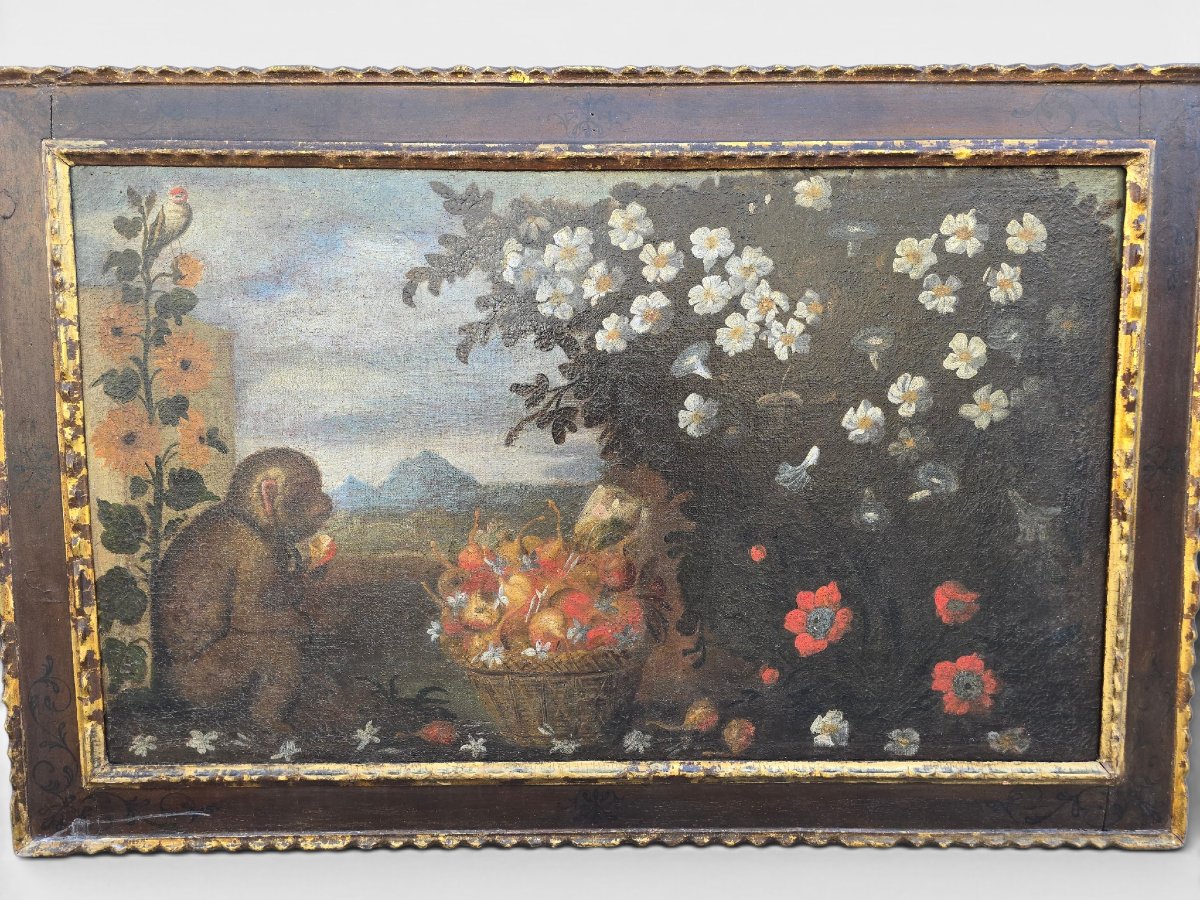 Huile sur toile du XVIIIe siècle, école majorquine, représentant un singe, cadre d'origine-photo-2