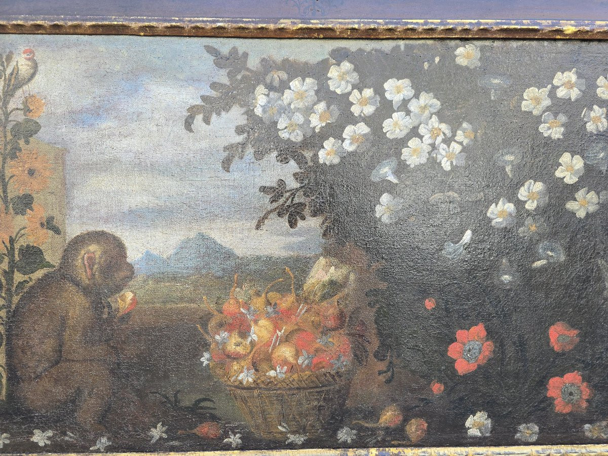 Huile sur toile du XVIIIe siècle, école majorquine, représentant un singe, cadre d'origine-photo-3
