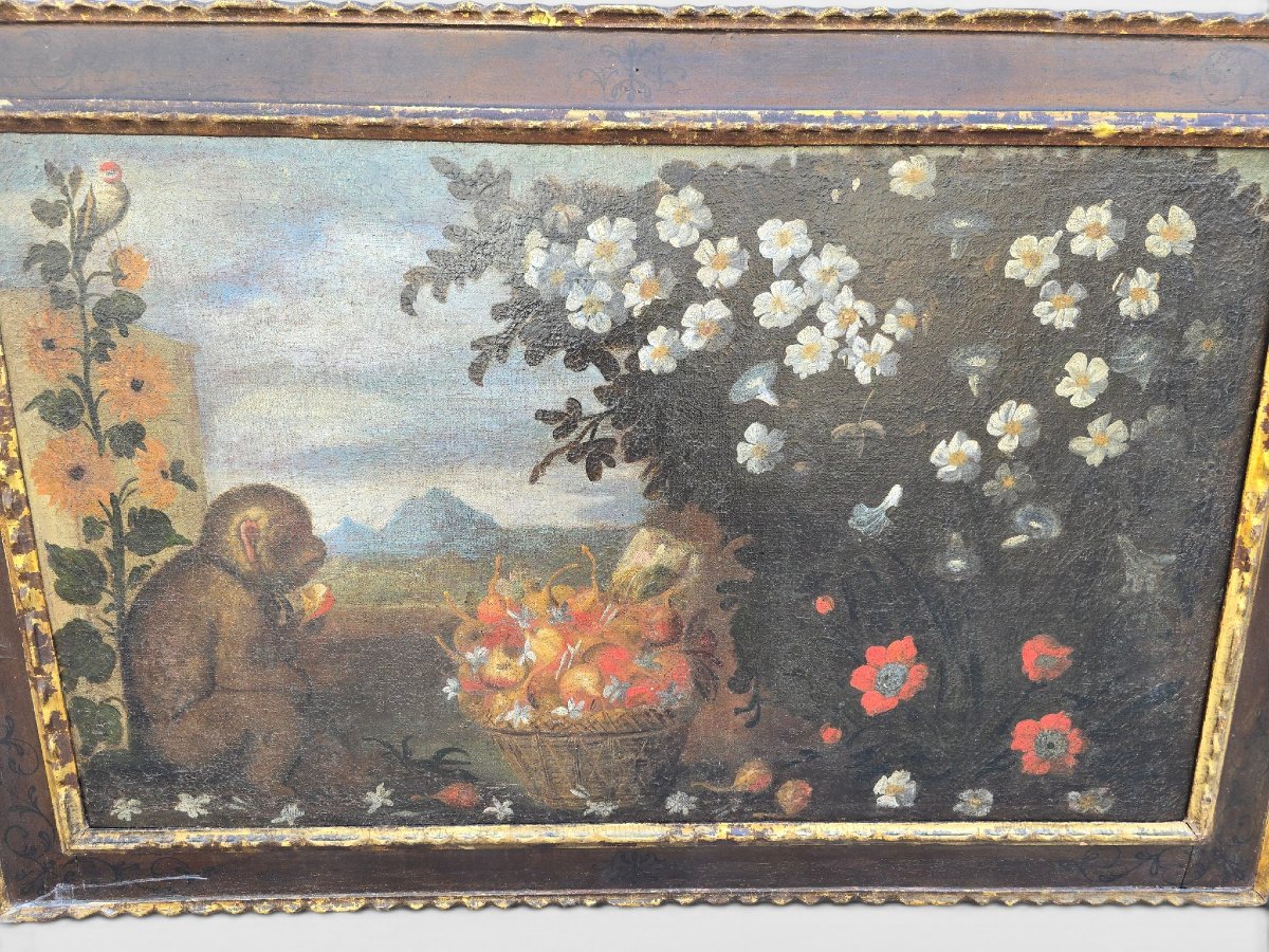 Huile sur toile du XVIIIe siècle, école majorquine, représentant un singe, cadre d'origine-photo-4