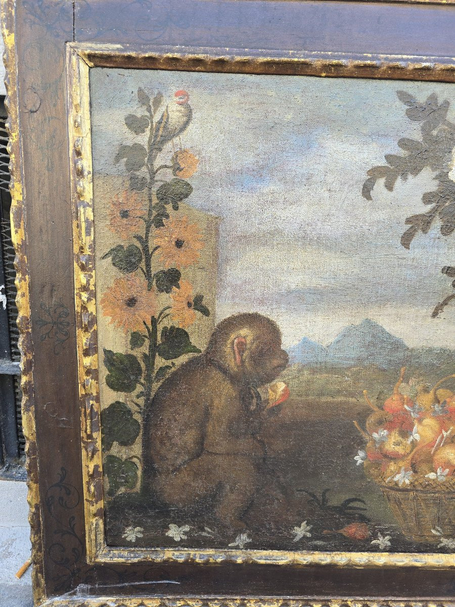 Huile sur toile du XVIIIe siècle, école majorquine, représentant un singe, cadre d'origine-photo-2