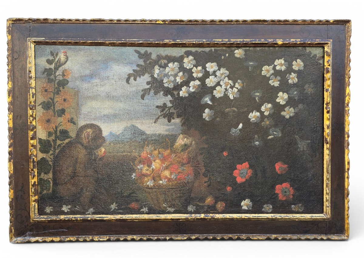 Huile sur toile du XVIIIe siècle, école majorquine, représentant un singe, cadre d'origine